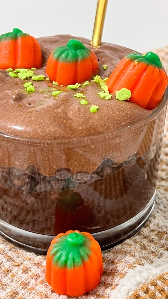 IMG_4710-576x1024 Pumpkin Patch Chocolate Mousse Cups