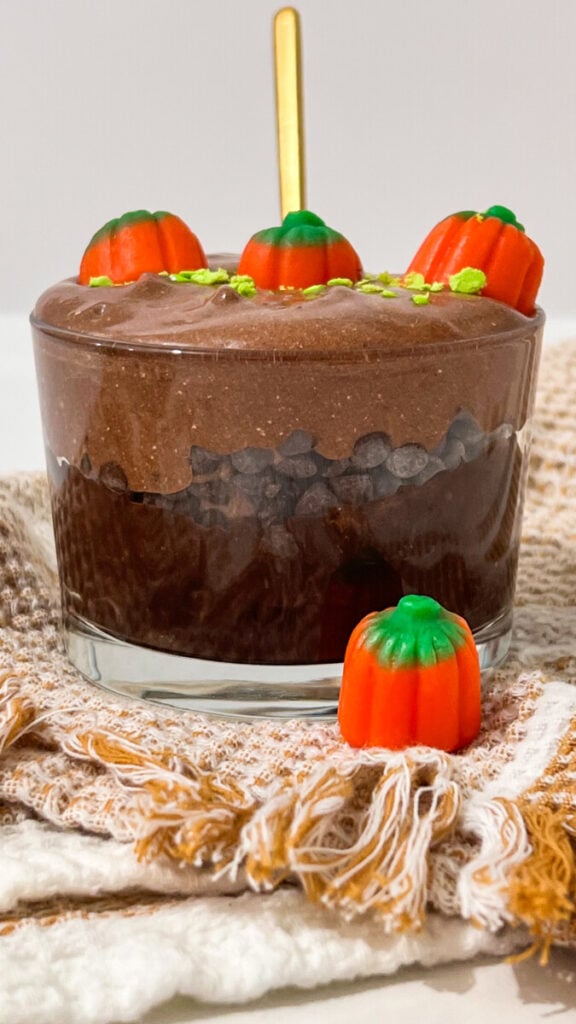IMG_4713-576x1024 Pumpkin Patch Chocolate Mousse Cups