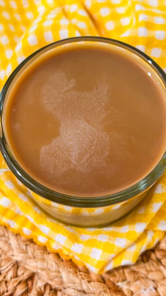  IMG_5795-1-576x1024 Apple Butter Latte  
