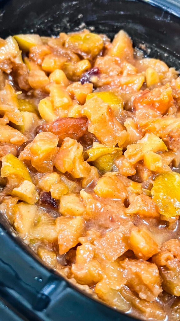 IMG_9678-576x1024 Crock Pot Cinnamon Apples  