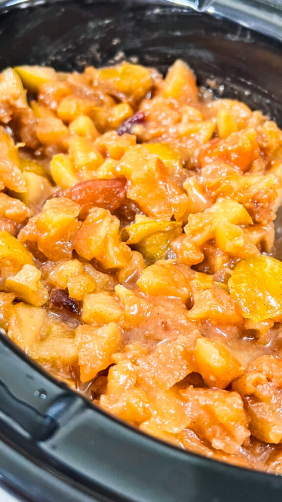  IMG_9679-576x1024 Crock Pot Cinnamon Apples  