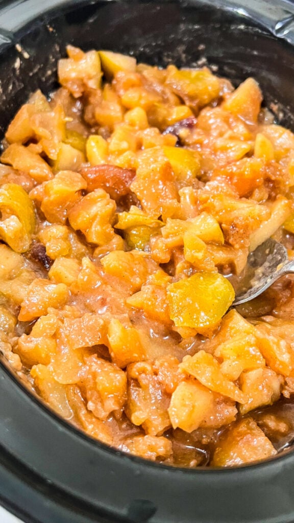  IMG_9680-576x1024 Crock Pot Cinnamon Apples  