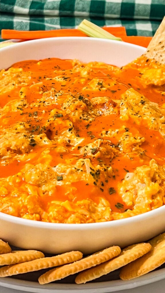 IMG_0084-576x1024 Slow Cooker Buffalo Chicken Dip
