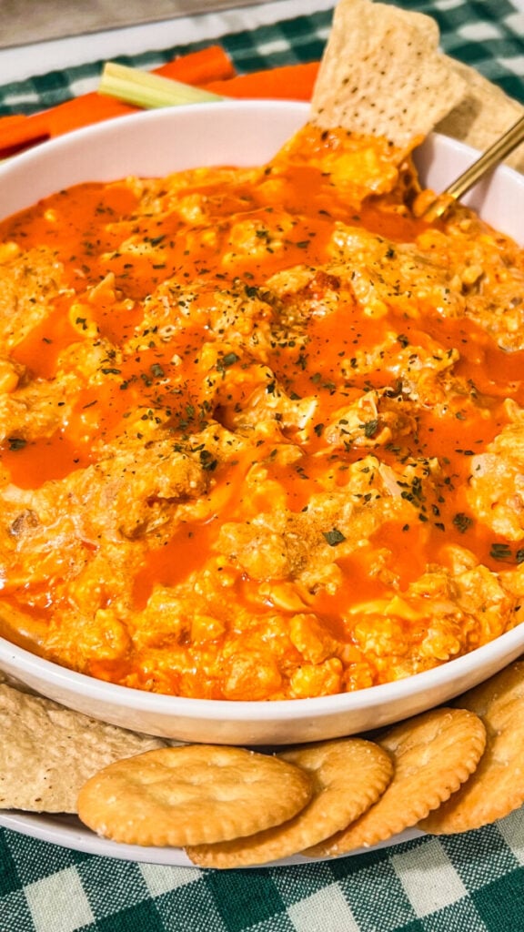 IMG_0102-576x1024 Slow Cooker Buffalo Chicken Dip