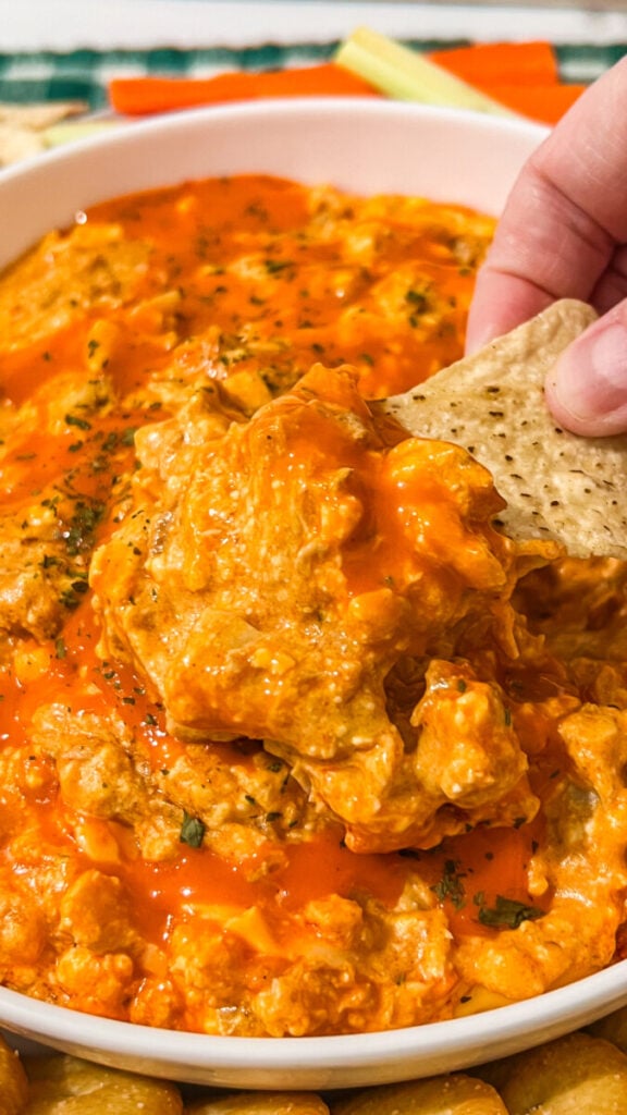 IMG_0117-576x1024 Slow Cooker Buffalo Chicken Dip