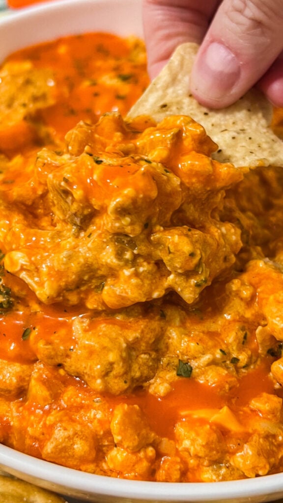 IMG_0122-576x1024 Slow Cooker Buffalo Chicken Dip