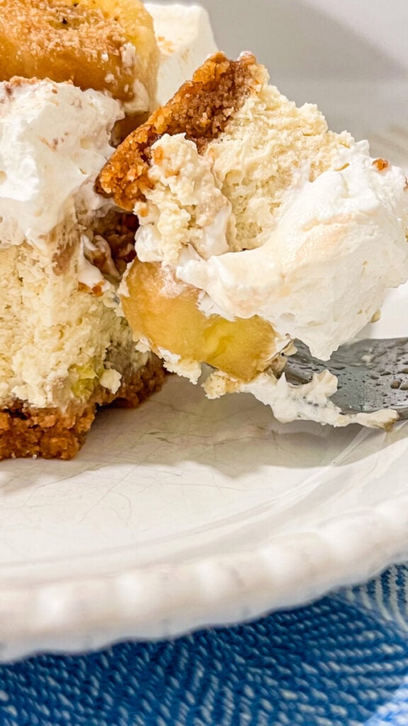  IMG_0848-576x1024 Banana Rum Cream Cheesecake  