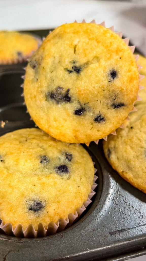 IMG_0942-576x1024 Easy Gluten Free Blueberry Muffins