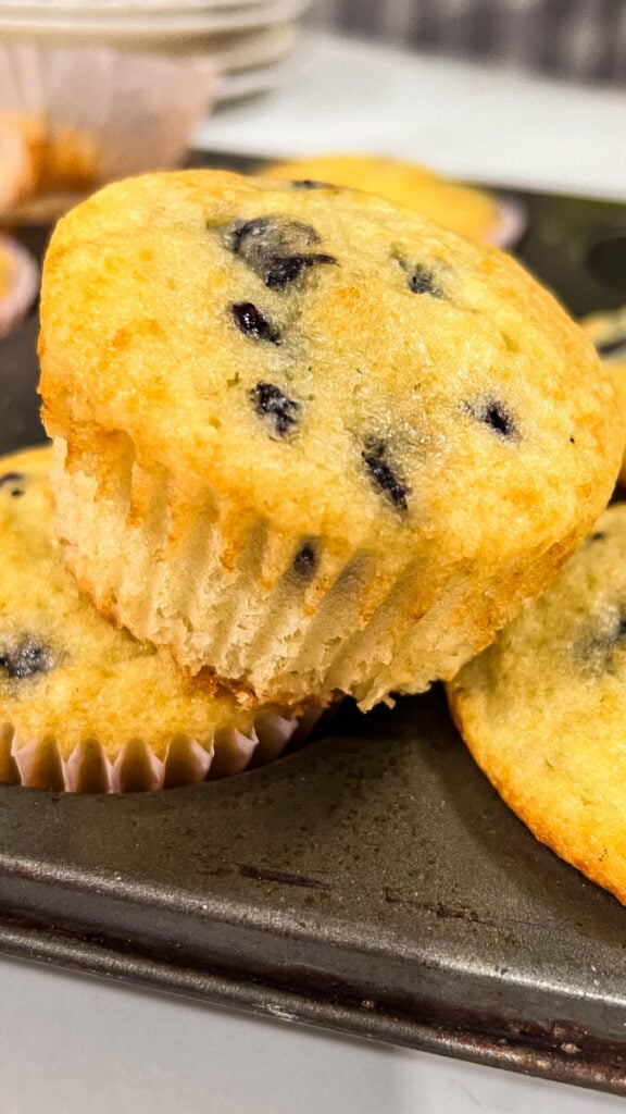 IMG_0944-576x1024 Easy Gluten Free Blueberry Muffins