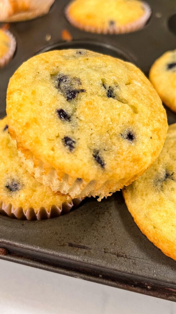 IMG_0945-576x1024 Easy Gluten Free Blueberry Muffins