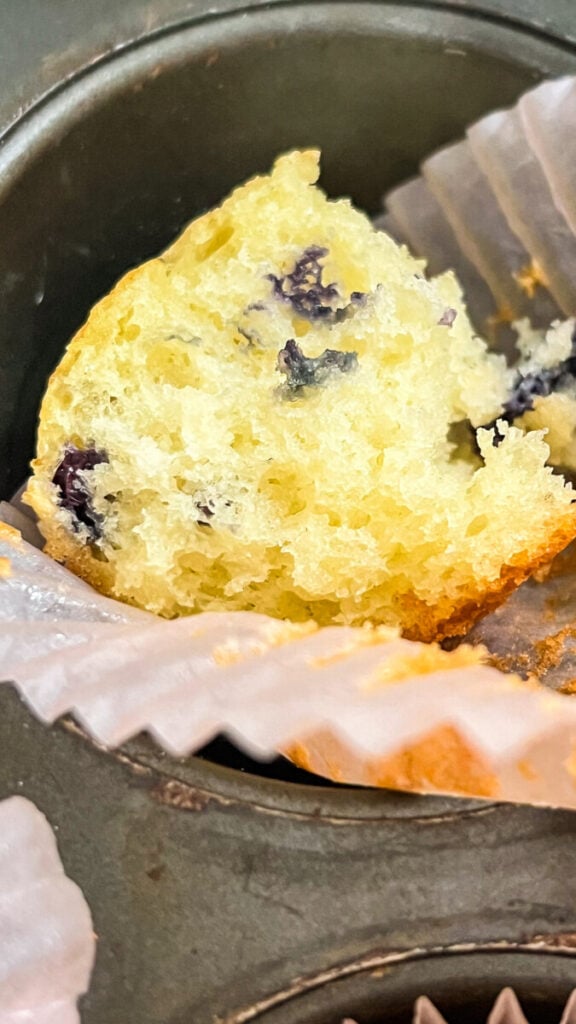IMG_0947-576x1024 Easy Gluten Free Blueberry Muffins