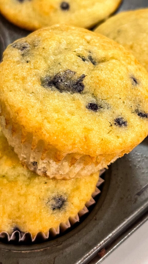 IMG_0948-576x1024 Easy Gluten Free Blueberry Muffins