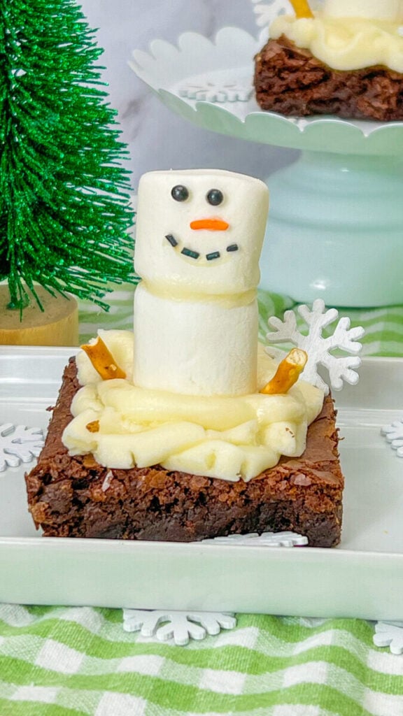  IMG_1517-576x1024 30 Best Snowman Recipes & Food Ideas for Christmas  
