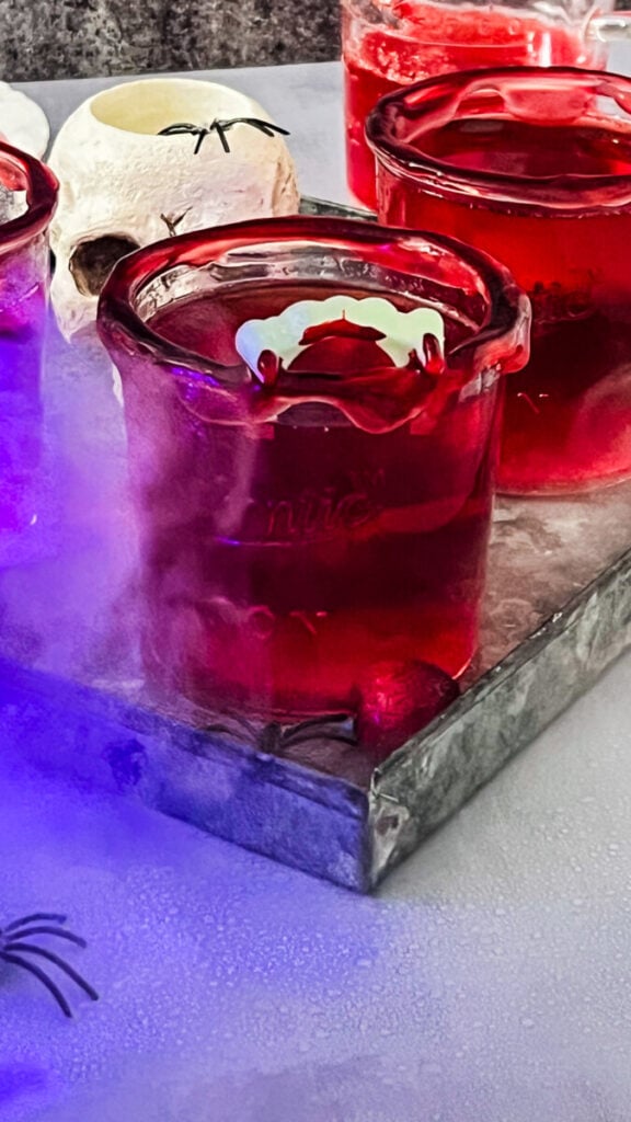 IMG_1880_jpg-576x1024 100 Best Halloween Cocktails for Your Spooky Party