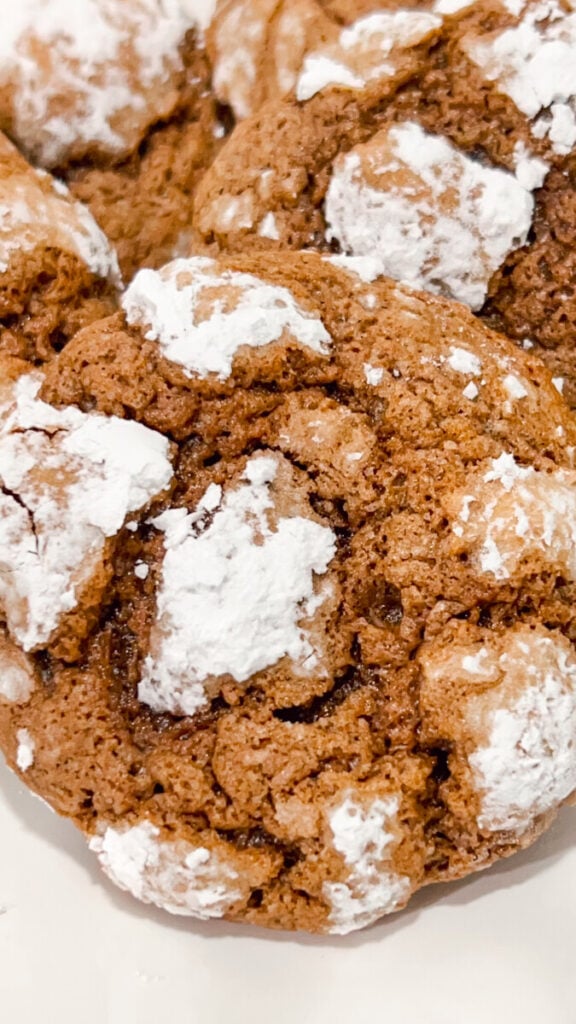  IMG_5776_jpg-576x1024 Favorite Holiday Cookie Tray Recipes Everyone Will Love  