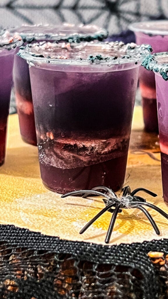  IMG_6368-576x1024 Black Widow Jello Shots  