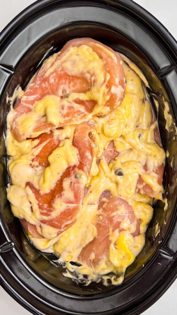  IMG_6618-576x1024 Crockpot Ritz Cracker Chicken  