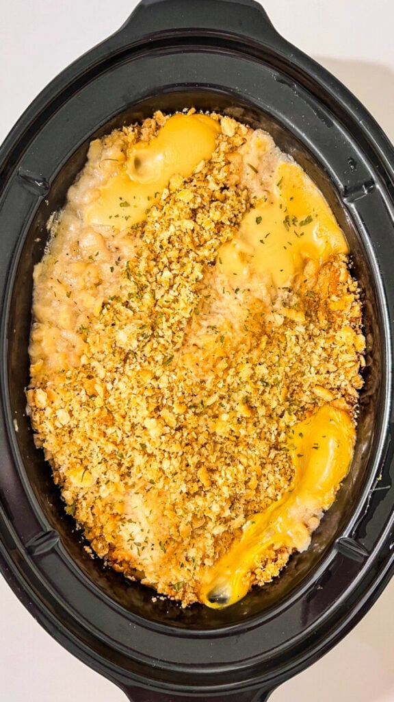  IMG_6653-576x1024 Crockpot Ritz Cracker Chicken  