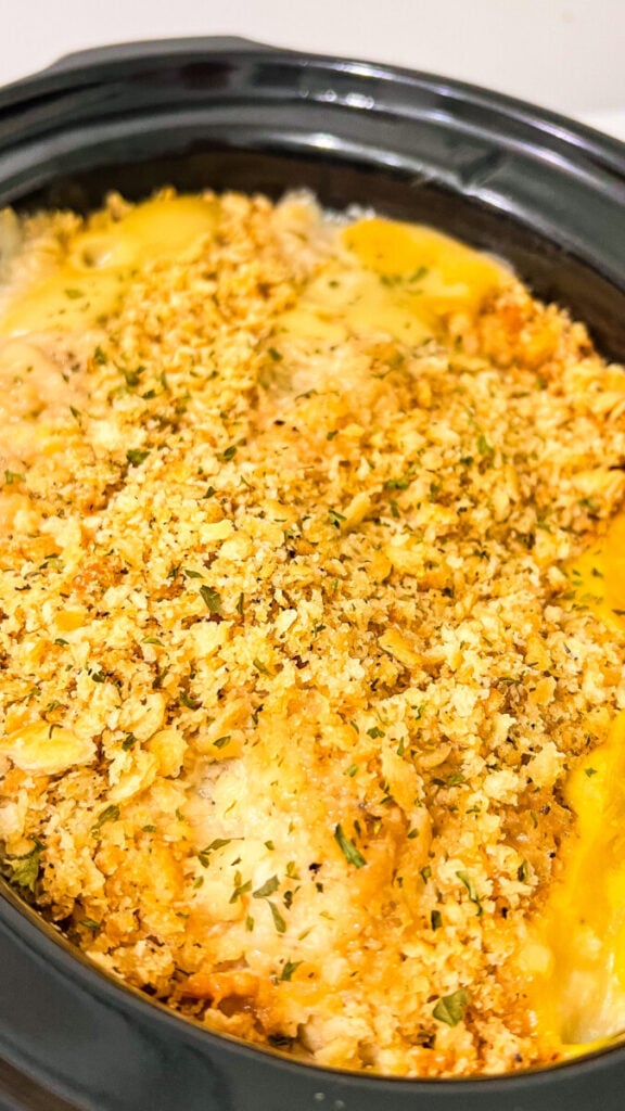  IMG_6656-576x1024 Crockpot Ritz Cracker Chicken  