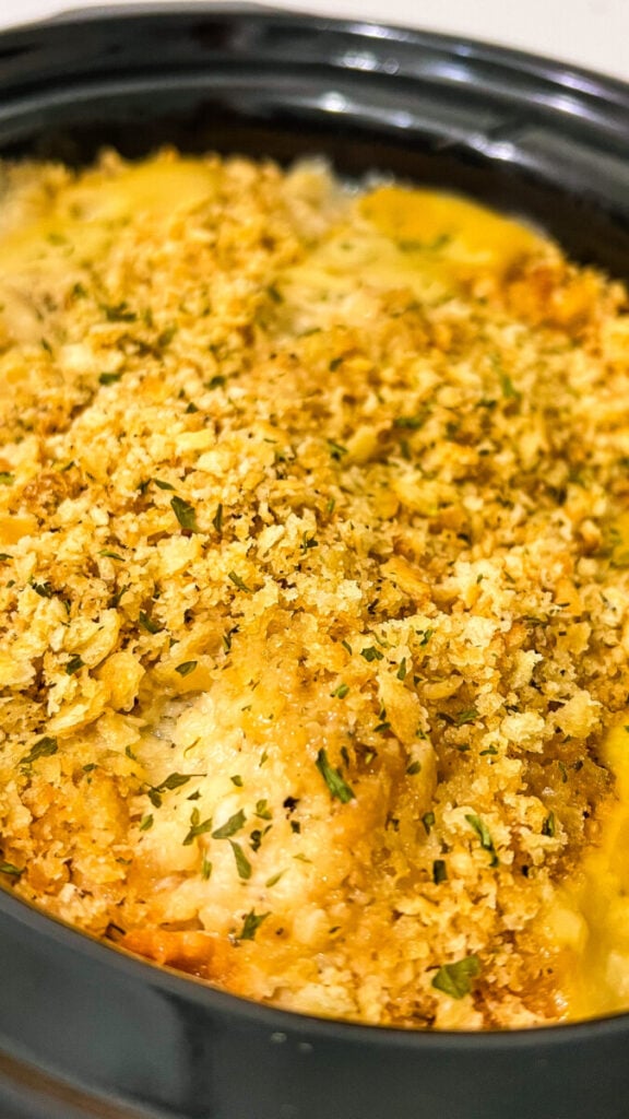  IMG_6658-576x1024 Crockpot Ritz Cracker Chicken  