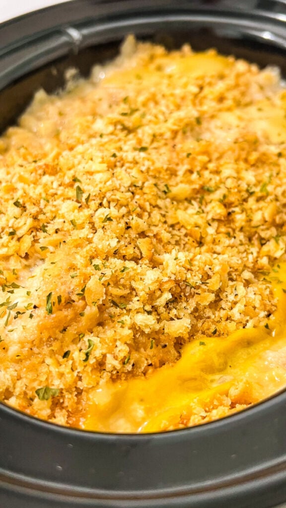  IMG_6659-576x1024 Crockpot Ritz Cracker Chicken  