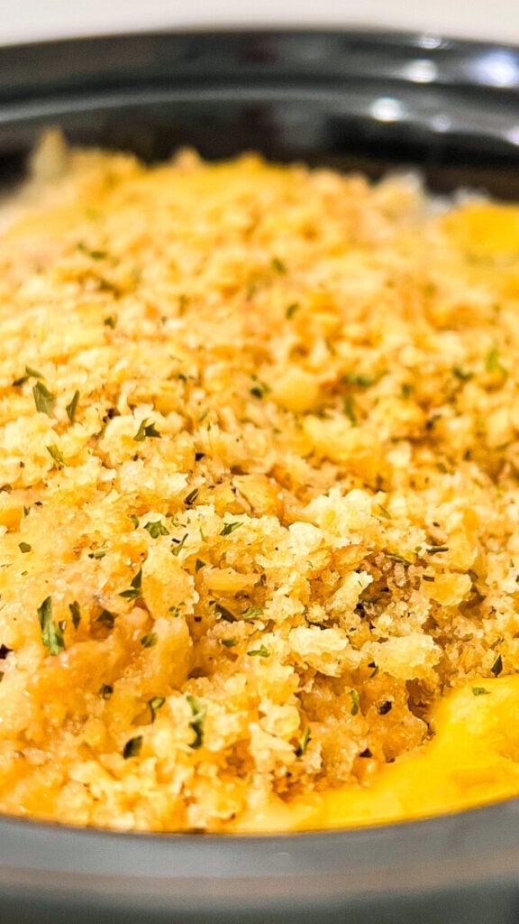  IMG_6660-576x1024 Crockpot Ritz Cracker Chicken  