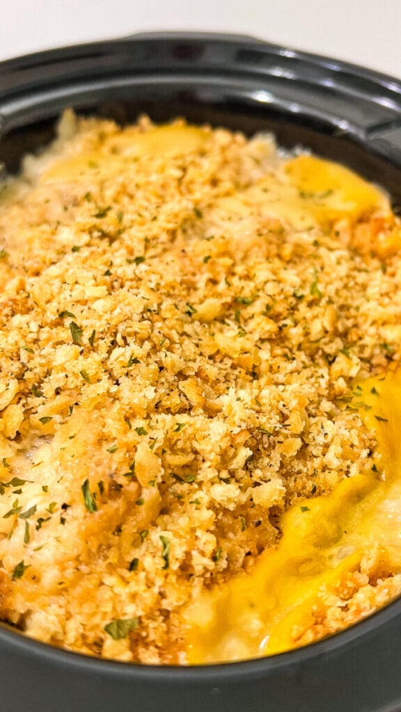  IMG_6661-576x1024 Crockpot Ritz Cracker Chicken  