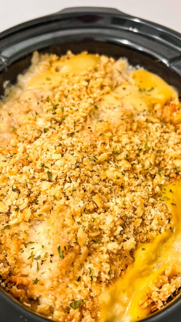  IMG_6662-576x1024 Crockpot Ritz Cracker Chicken  