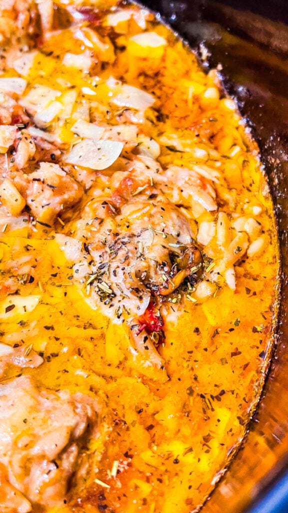  IMG_7498-576x1024 Crockpot Marry Me Chicken and Orzo  