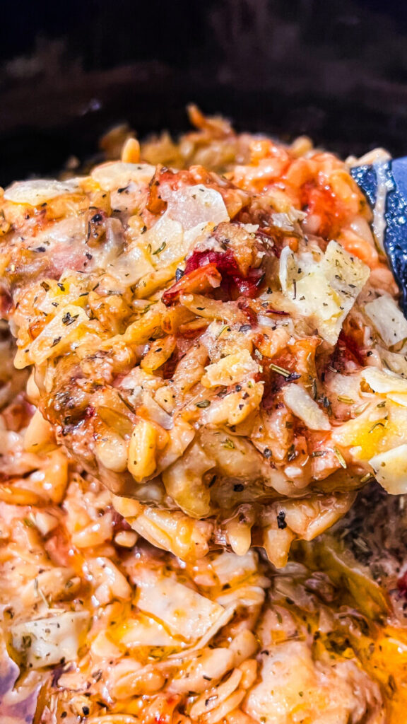  IMG_7503-576x1024 Crockpot Marry Me Chicken and Orzo  