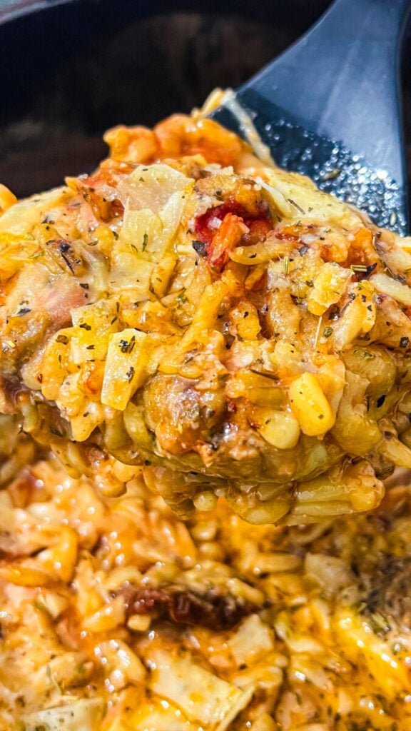  IMG_7504-576x1024 Crockpot Marry Me Chicken and Orzo  