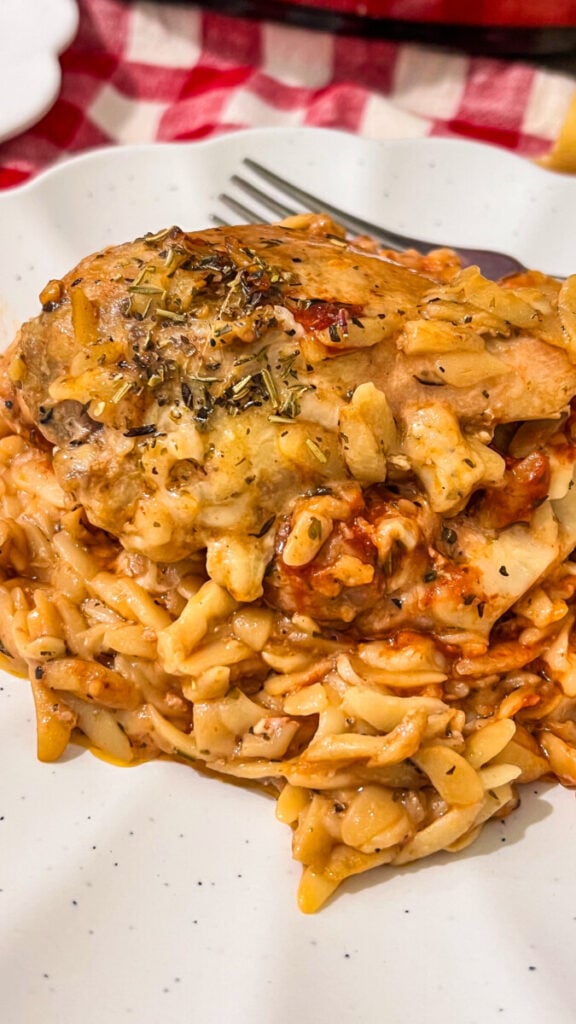  IMG_7519-576x1024 Crockpot Marry Me Chicken and Orzo  