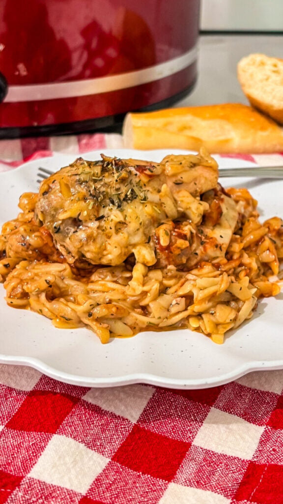  IMG_7525-576x1024 Crockpot Marry Me Chicken and Orzo  