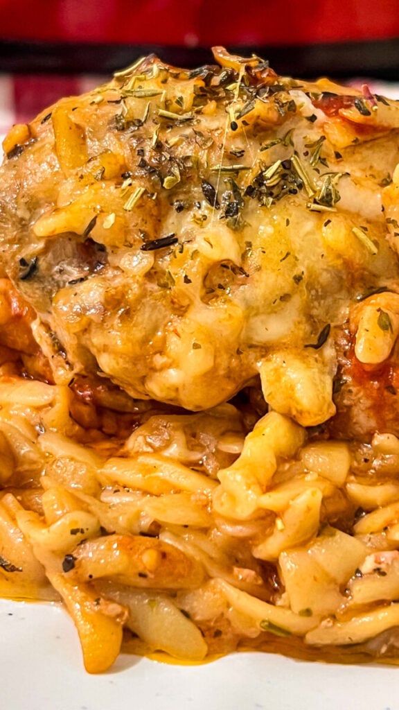  IMG_7537-576x1024 Crockpot Marry Me Chicken and Orzo  