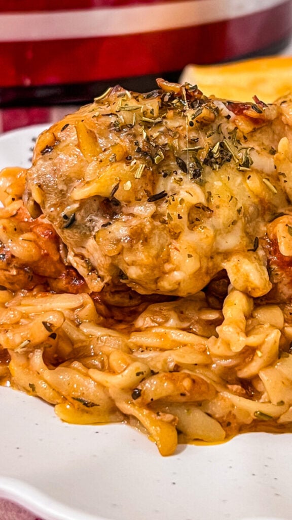  IMG_7538-576x1024 Crockpot Marry Me Chicken and Orzo  