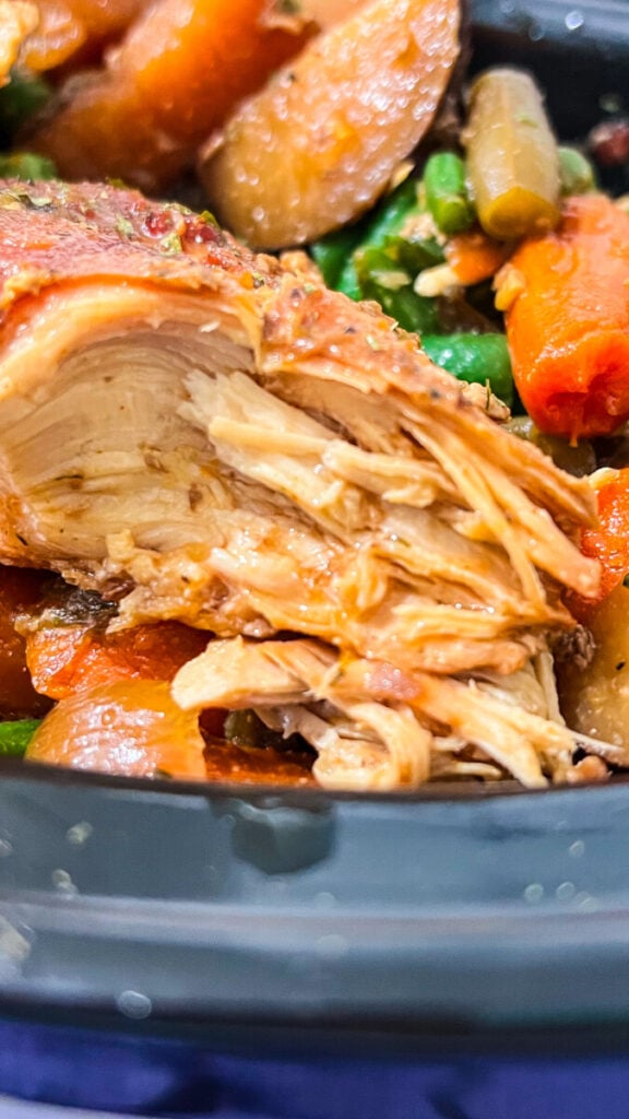  IMG_7713-576x1024 Slow Cooker Brown Sugar Soy Chicken and Veggies  