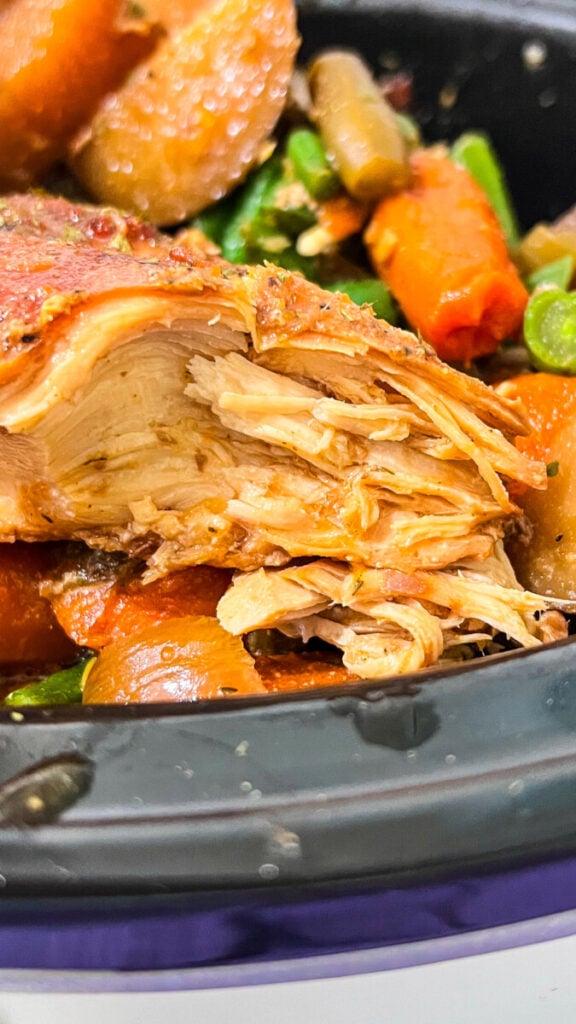  IMG_7714-576x1024 Slow Cooker Brown Sugar Soy Chicken and Veggies  