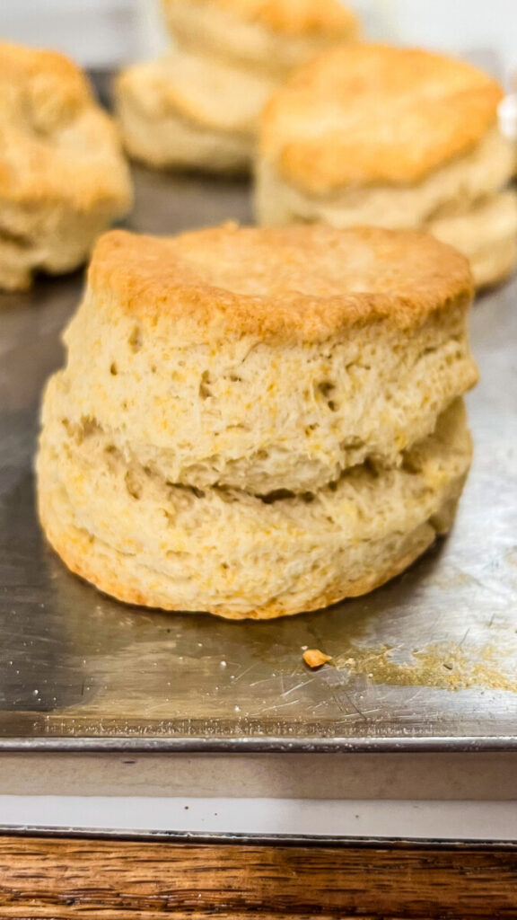  IMG_8339-576x1024 Homemade Gluten-Free Biscuits  