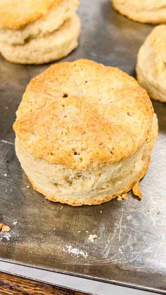  IMG_8341-576x1024 Homemade Gluten-Free Biscuits  