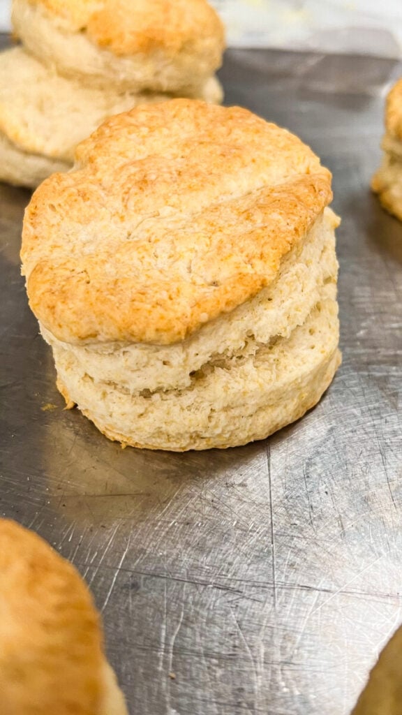  IMG_8342-576x1024 Homemade Gluten-Free Biscuits  