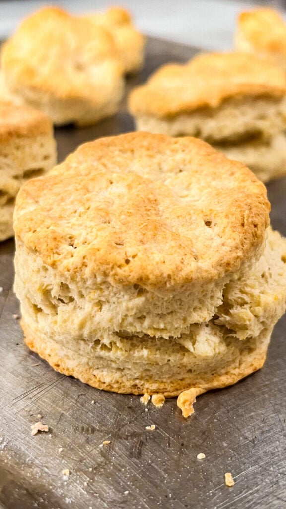  IMG_8345-576x1024 Homemade Gluten-Free Biscuits  