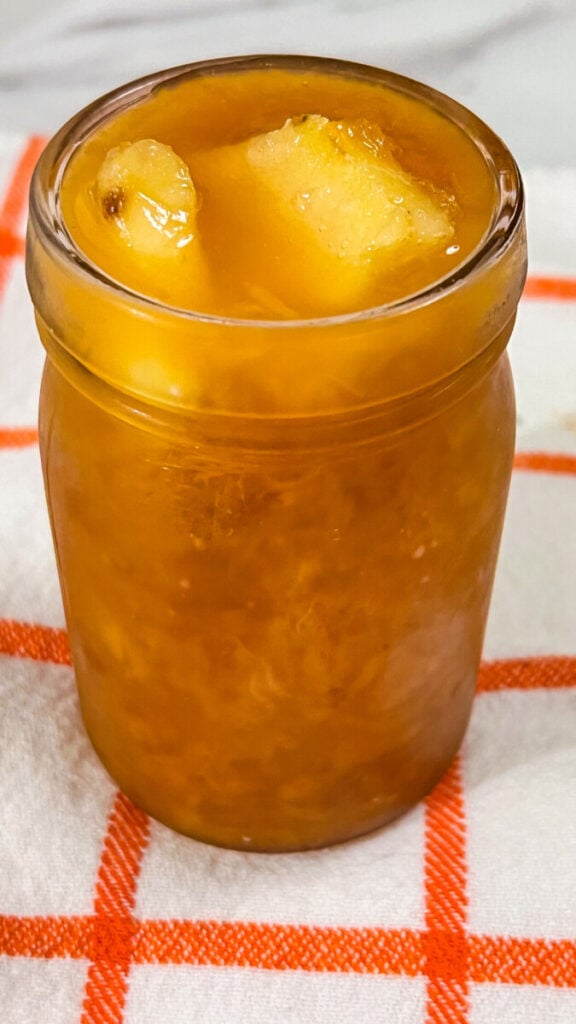 IMG_8431-576x1024 Homemade Apricot Pineapple Jam