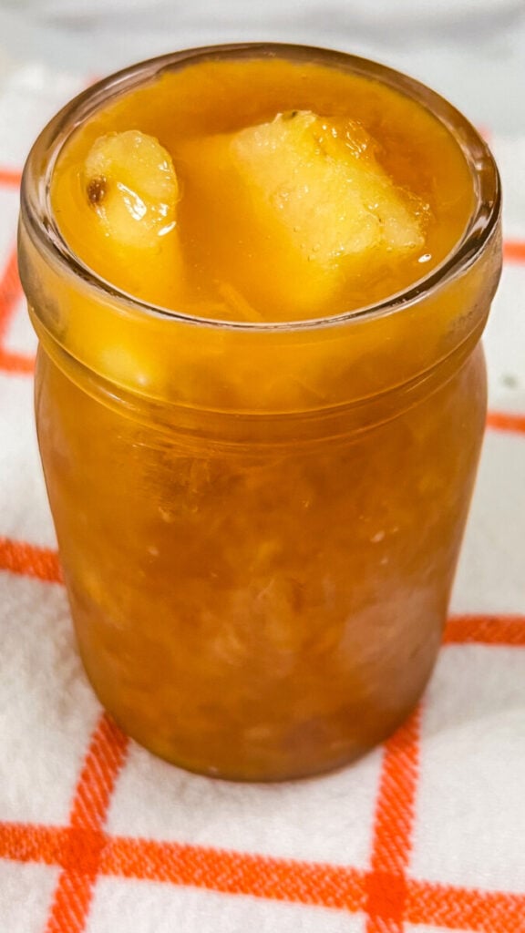 IMG_8433-576x1024 Homemade Apricot Pineapple Jam