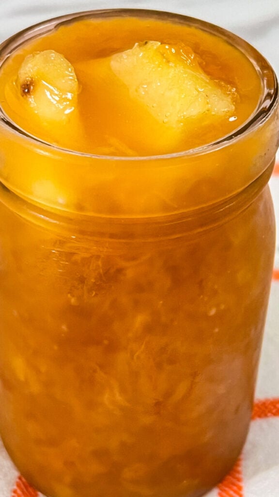 IMG_8439-576x1024 Homemade Apricot Pineapple Jam