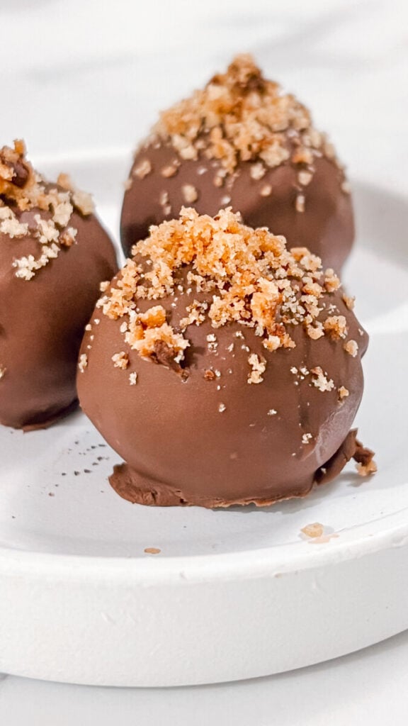 IMG_8689-576x1024 Brownie Pecan Truffles