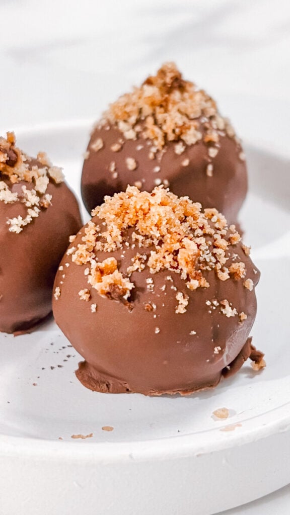 IMG_8690-1-576x1024 Brownie Pecan Truffles
