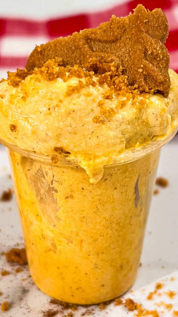  IMG_8700-576x1024 Pumpkin Biscoff Pudding Shots  