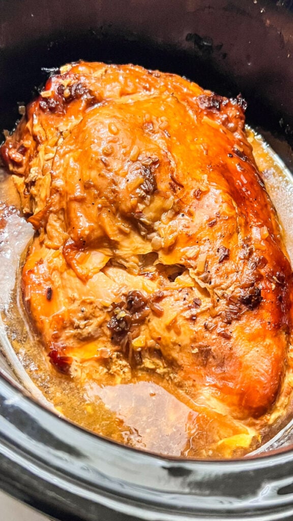 IMG_8881-576x1024 Slow Cooker French Onion Turkey Breast  
