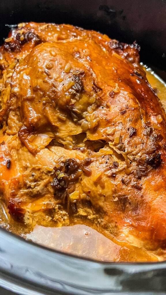  IMG_8882-576x1024 Slow Cooker French Onion Turkey Breast  
