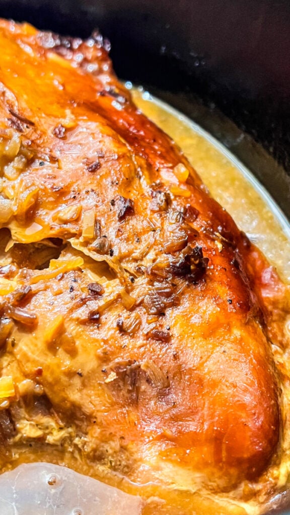  IMG_8891-576x1024 Slow Cooker French Onion Turkey Breast  